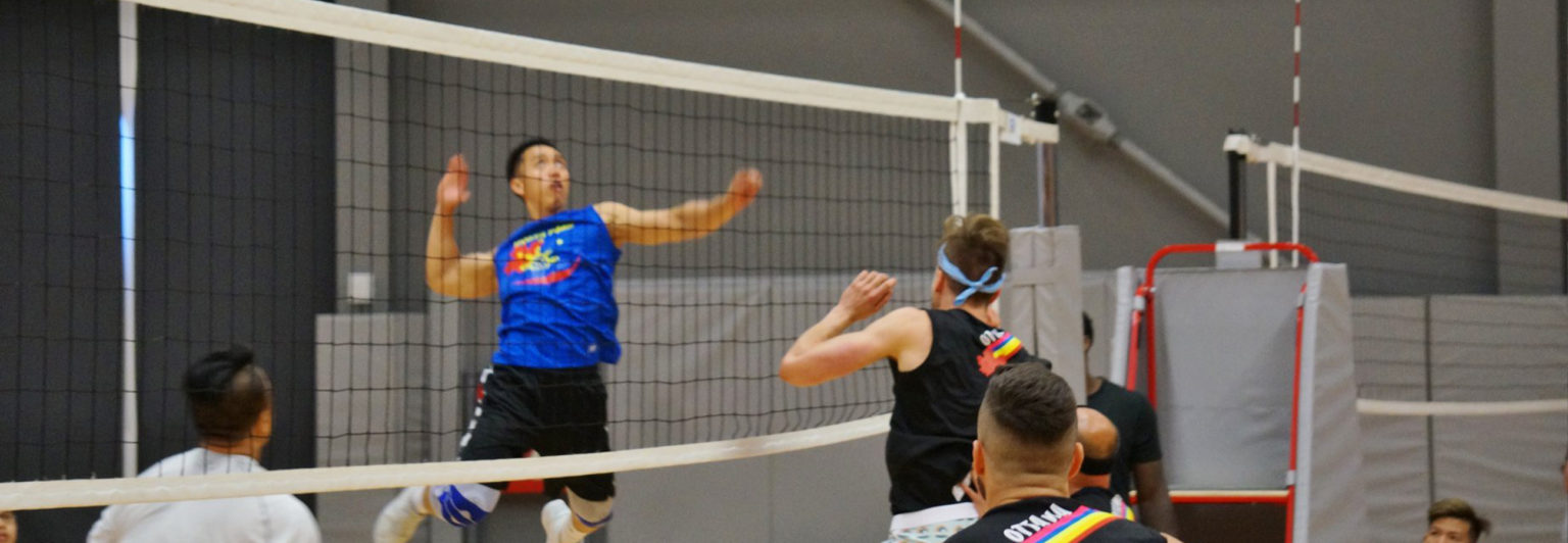 Development Toronto Spartan Volleyball League